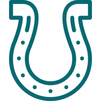 horseshoe (1).png horseshoe (1).png